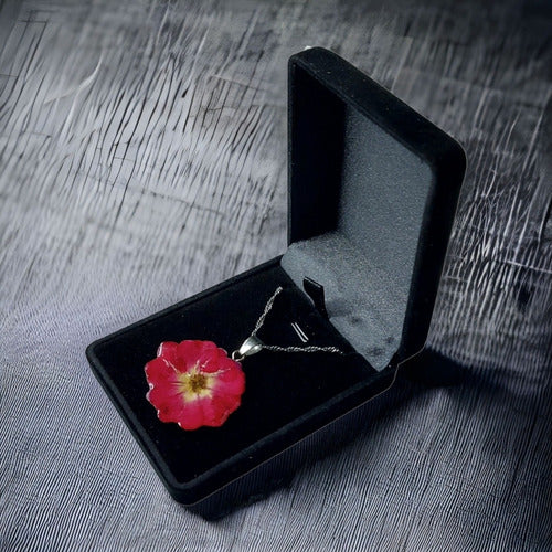 Collar De Flor Natural Auténtica Rosa Real Resina Plata S925