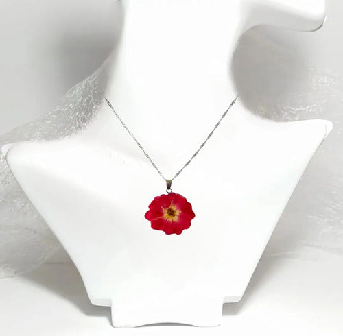 Collar De Flor Natural Auténtica Rosa Real Resina Plata S925